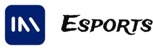 bec888 provider im esports